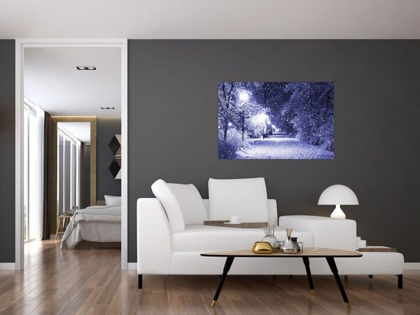 Obraz - Čarovná zimná noc (90x60 cm)