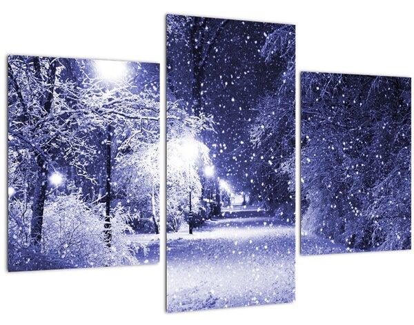 Obraz - Čarovná zimná noc (90x60 cm)