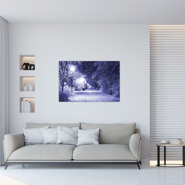 Obraz - Čarovná zimná noc (90x60 cm)