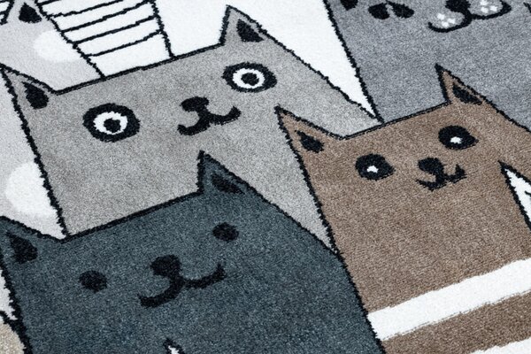 Dywany Łuszczów , Detský kusový koberec Fun Gatti Cats multi, 180x270, šedá, detská izba