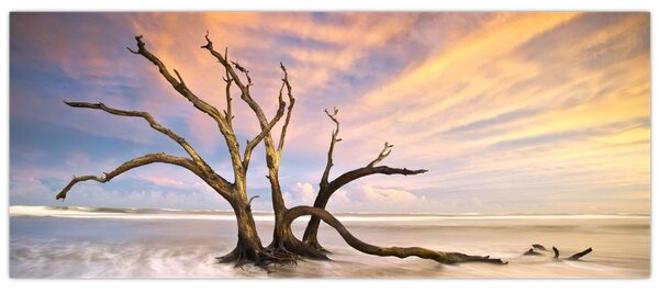 Obraz stromu v oceáne (120x50 cm)