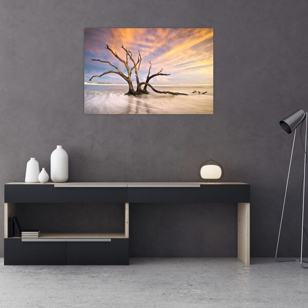 Obraz stromu v oceáne (90x60 cm)