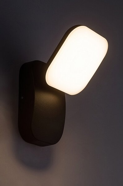 Rabalux 77057 - LED Vonkajšie nástenné svietidlo ODIEL LED/12W/230V IP44 čierna