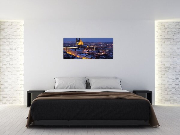 Obraz - Katedrála sv. Petra a Pavla, Brno, Česká Republika (120x50 cm)
