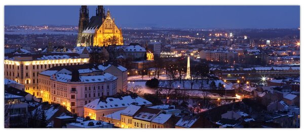 Obraz - Katedrála sv. Petra a Pavla, Brno, Česká Republika (120x50 cm)