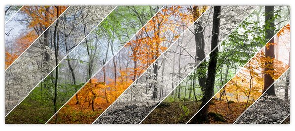 Obraz - Striedanie ročných období (120x50 cm)