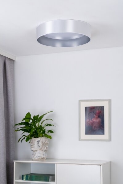 Duolla - LED Stropné svietidlo ROLLER LED/24W/230V pr. 45 cm strieborná