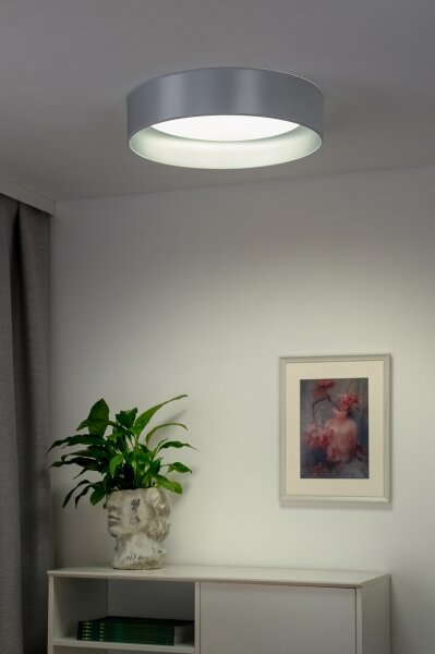 Duolla - LED Stropné svietidlo ROLLER LED/24W/230V pr. 45 cm strieborná