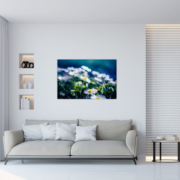 Obraz sedmokrások (90x60 cm)