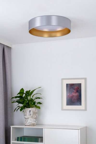 Duolla - LED Stropné svietidlo ROLLER LED/24W/230V pr. 45 cm strieborná/zlatá