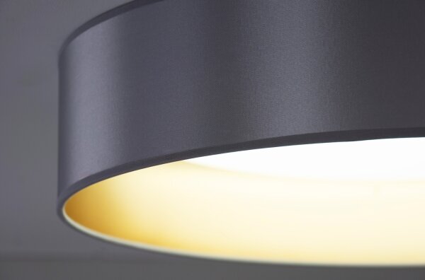 Duolla - LED Stropné svietidlo ROLLER LED/24W/230V pr. 45 cm strieborná/zlatá