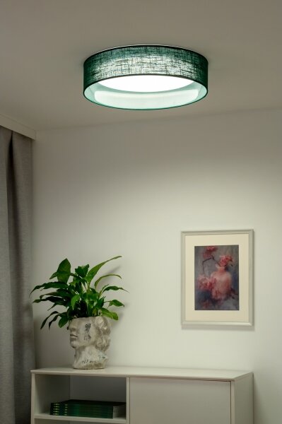 Duolla - LED Stropné svietidlo ROLLER LED/24W/230V pr. 45 cm zelená
