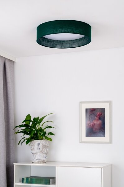 Duolla - LED Stropné svietidlo ROLLER LED/24W/230V pr. 45 cm zelená
