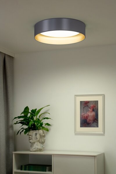 Duolla - LED Stropné svietidlo ROLLER LED/24W/230V pr. 45 cm strieborná/zlatá