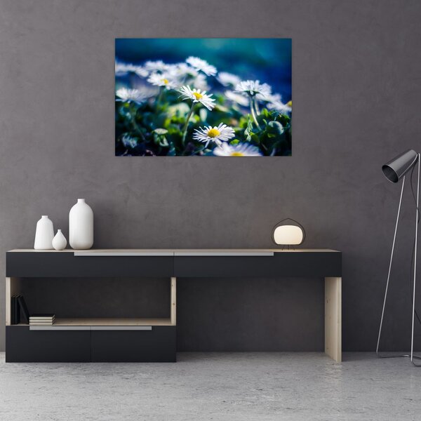 Obraz sedmokrások (90x60 cm)