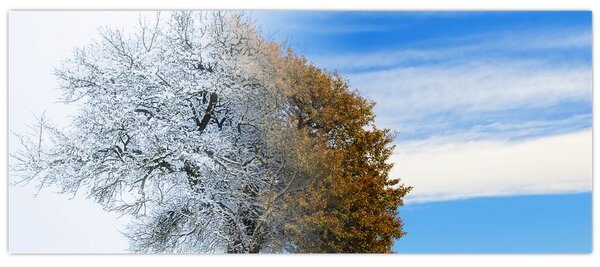 Obraz - Zmena ročného obdobia (120x50 cm)