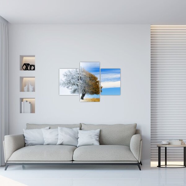 Obraz - Zmena ročného obdobia (90x60 cm)