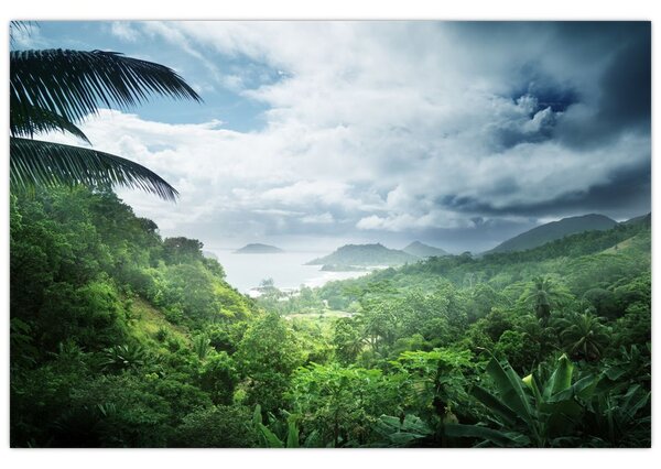 Obraz - Seychelská jungle (90x60 cm)