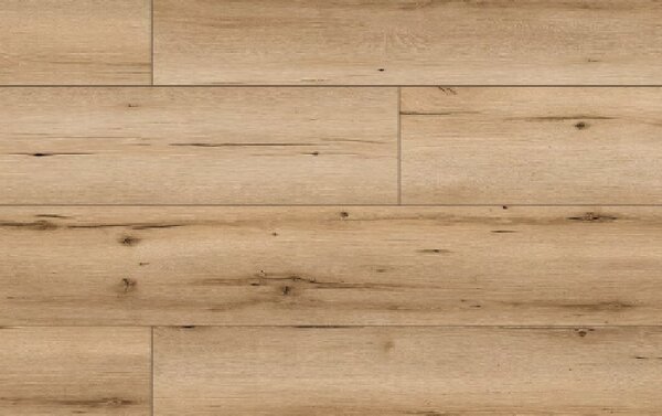 Classen Arteo Aqua Protect 8 XL 54831 DUB DENALI