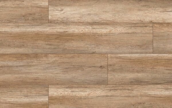 Classen Arteo Aqua Protect 8 XL 54814 DUB SIPADAN