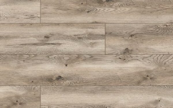 Classen Arteo Aqua Protect 10 XL 54848 DUB INDIANAPOLIS