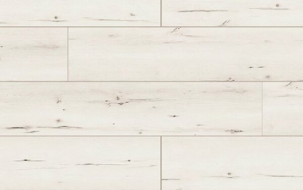 Classen Arteo Aqua Protect 8 XL 54832 DUB FAMARA