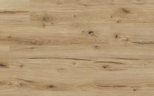 Classen Arteo Aqua Protect 8 M 62751 DUB GIBSON