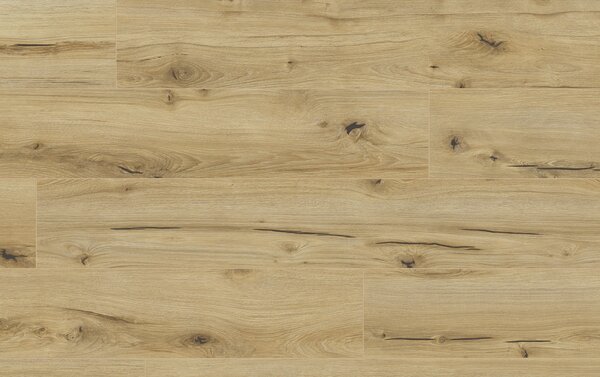 Classen Arteo Aqua Protect 8 M 62747 DUB ANARGOSA