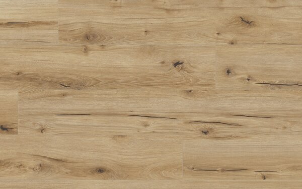 Classen Arteo Aqua Protect 8 M 62751 DUB GIBSON