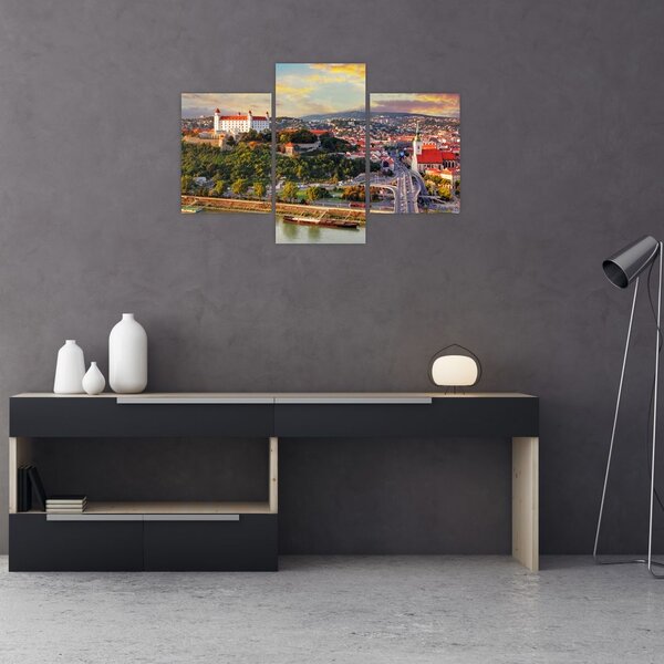 Obraz - Panorama Bratislavy, Slovensko (90x60 cm)