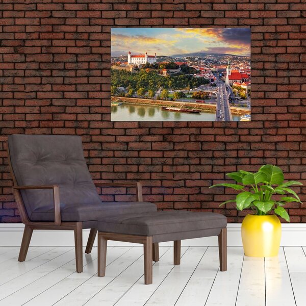 Obraz - Panorama Bratislavy, Slovensko (90x60 cm)