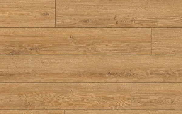 Classen Arteo Aqua Protect 8 M 62752 DUB HAMRA