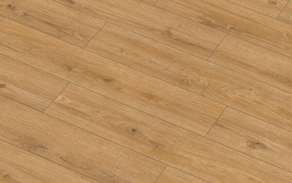 Classen Arteo Aqua Protect 8 M 62752 DUB HAMRA