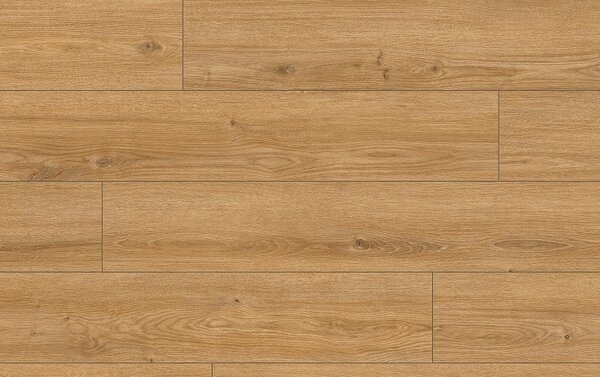 Classen Arteo Aqua Protect 8 M 62752 DUB HAMRA