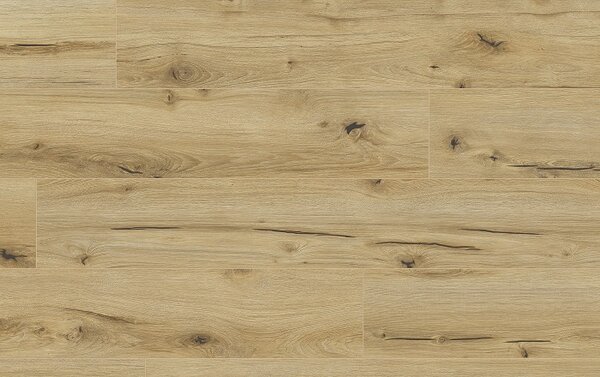 Classen Arteo Aqua Protect 8 M 62747 DUB ANARGOSA