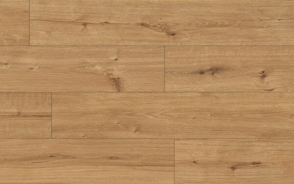 Classen Arteo Aqua Protect 8 XL 55088 DUB KALAHARI