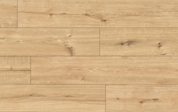 Classen Arteo Aqua Protect 8 XL 55092 DUB ATAKAMA