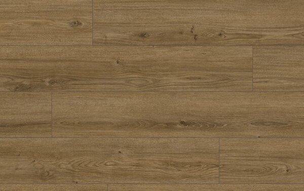 Classen Arteo Aqua Protect 8 M 62755 DUB KOTOR