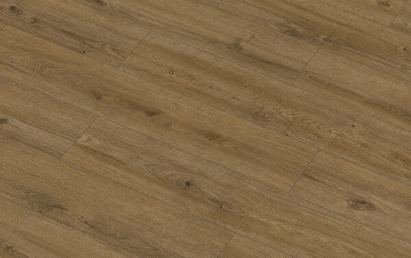 Classen Arteo Aqua Protect 8 M 62755 DUB KOTOR