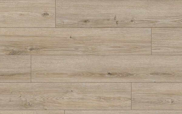 Classen Arteo Aqua Protect 8 M 62758 DUB NEFUD