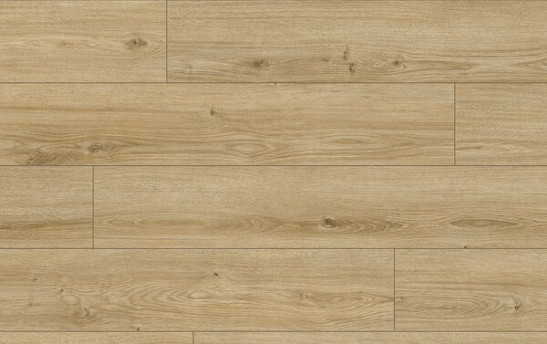 Classen Arteo Aqua Protect 8 M 62753 DUB KARAKUM