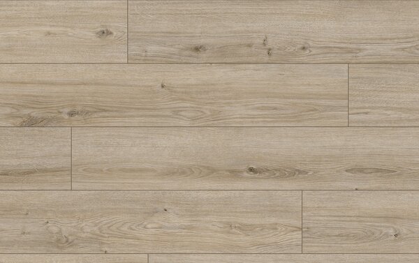 Classen Arteo Aqua Protect 8 M 62758 DUB NEFUD