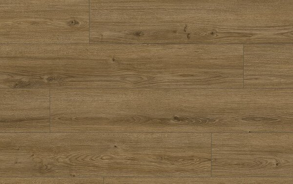 Classen Arteo Aqua Protect 8 M 62755 DUB KOTOR