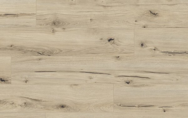 Classen Arteo Aqua Protect 8 M 62748 DUB DAMARA