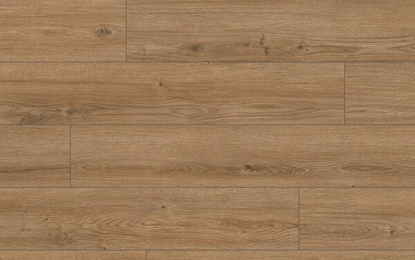 Classen Arteo Aqua Protect 8 M 62754 DUB KATAM