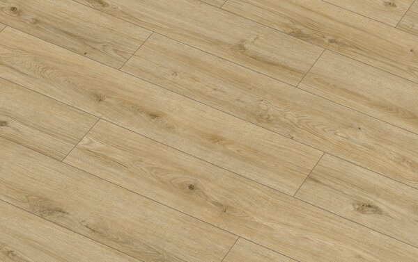 Classen Arteo Aqua Protect 8 M 62753 DUB KARAKUM