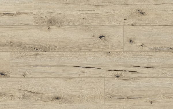 Classen Arteo Aqua Protect 8 M 62748 DUB DAMARA
