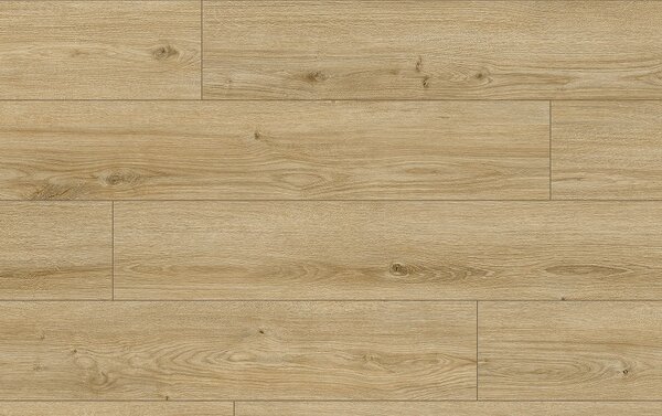Classen Arteo Aqua Protect 8 M 62753 DUB KARAKUM