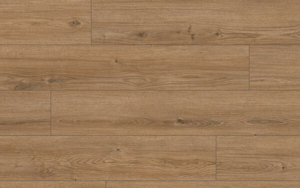 Classen Arteo Aqua Protect 8 M 62754 DUB KATAM