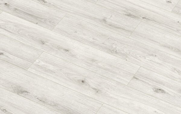Classen Arteo Aqua Protect 8 M 62759 DUB NEGEW